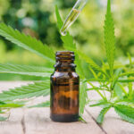 What you need to know about cbd tinctures?